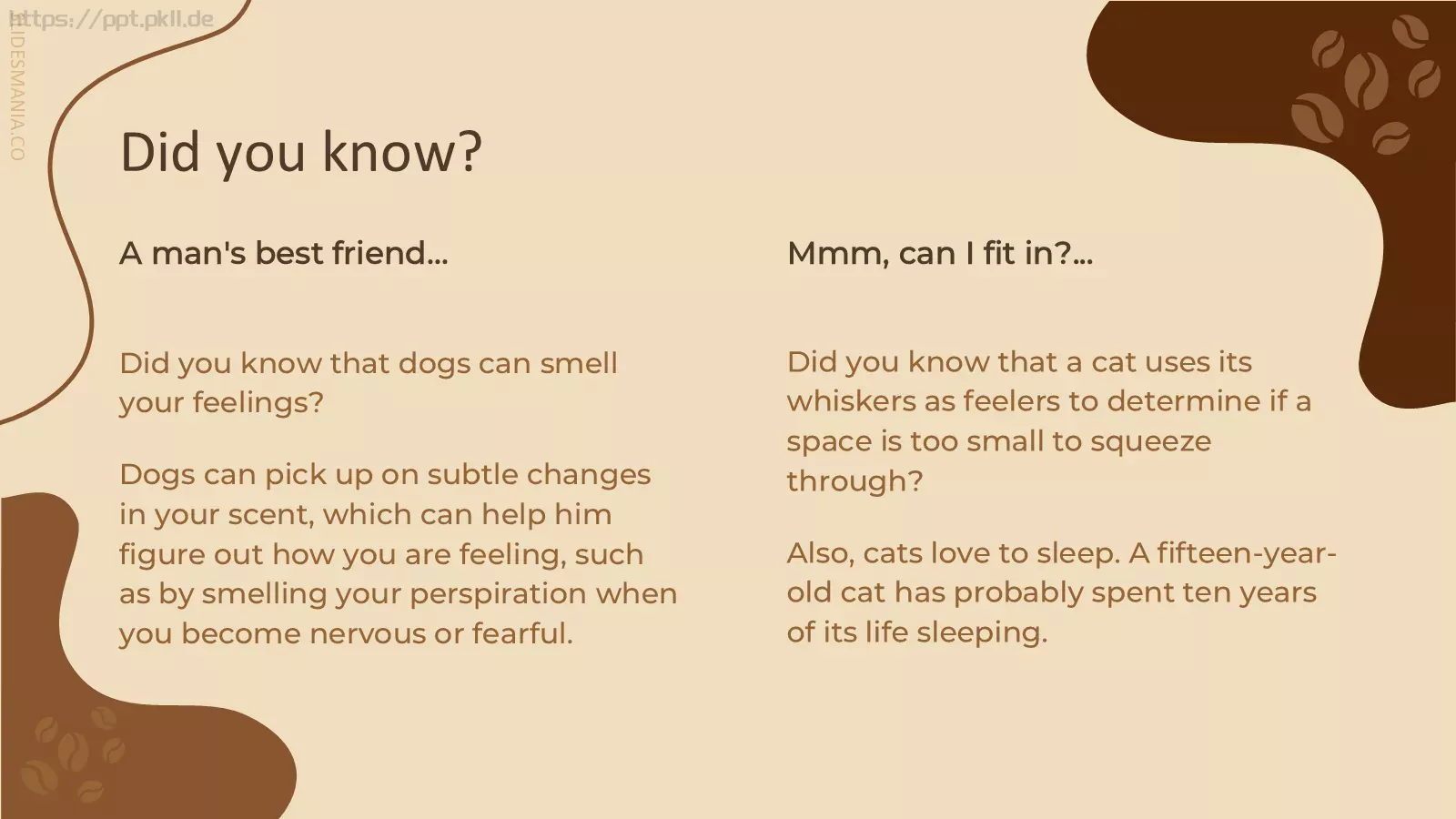 咖啡主题通用PPT模板 第 6 页预览图