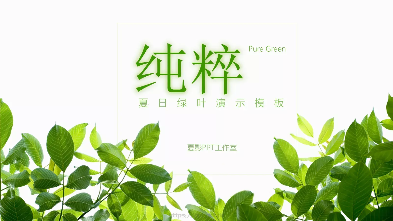 通用模板夏日绿叶演示 封面图