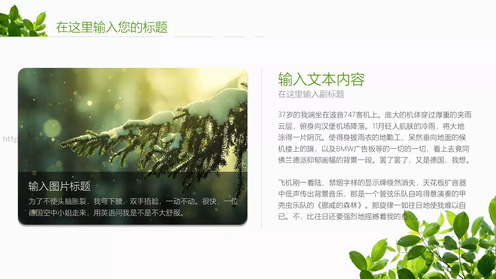 通用模板夏日绿叶演示 第 4 页缩略图