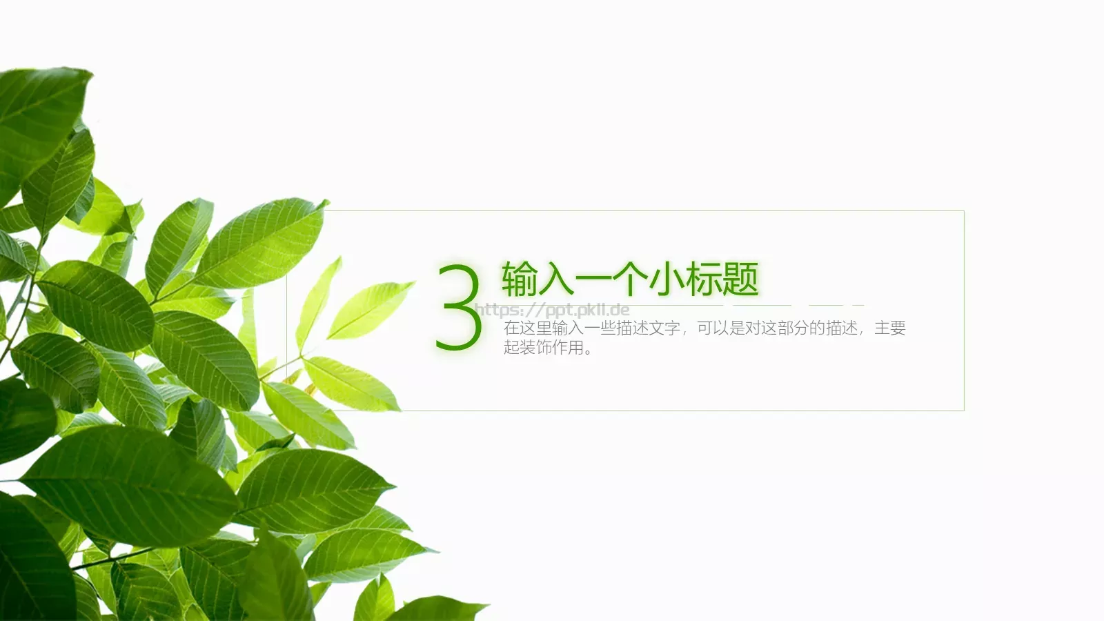 通用模板夏日绿叶演示 第 13 页预览图