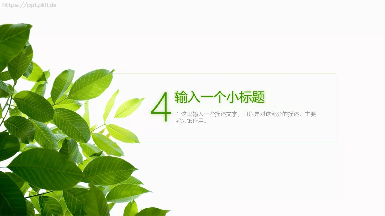 通用模板夏日绿叶演示 第 18 页预览图