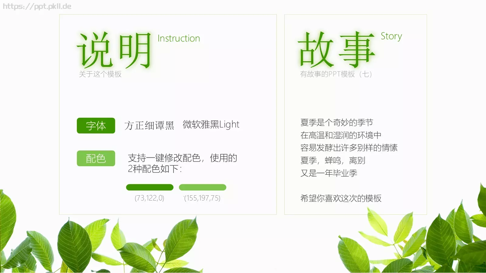 通用模板夏日绿叶演示 第 24 页预览图
