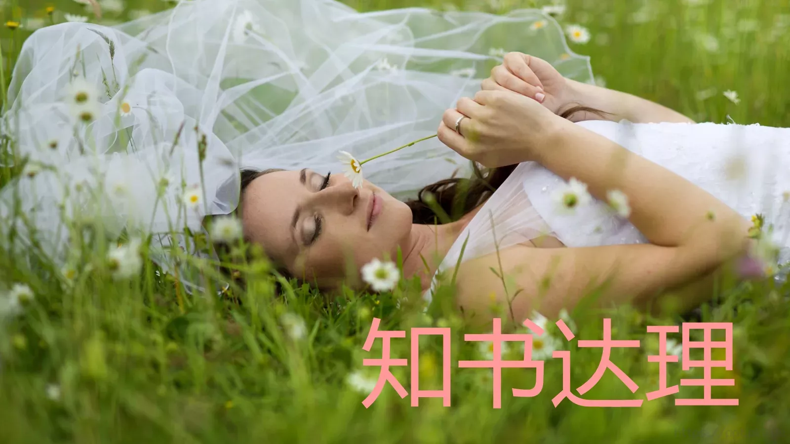 浪漫婚礼开场快闪PPT模板 第 37 页预览图