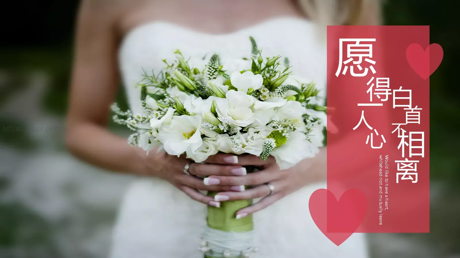 爱情，像一首缠绵婉转的诗PPT模板 第 9 页预览图