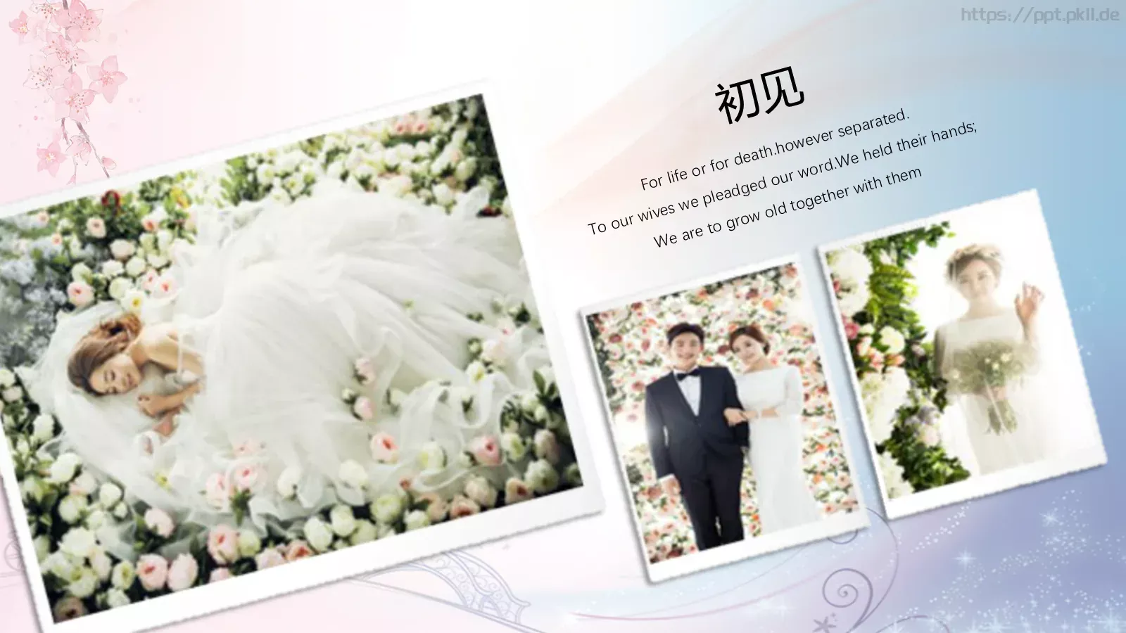 婚庆爱情PPT模板 第 3 页缩略图
