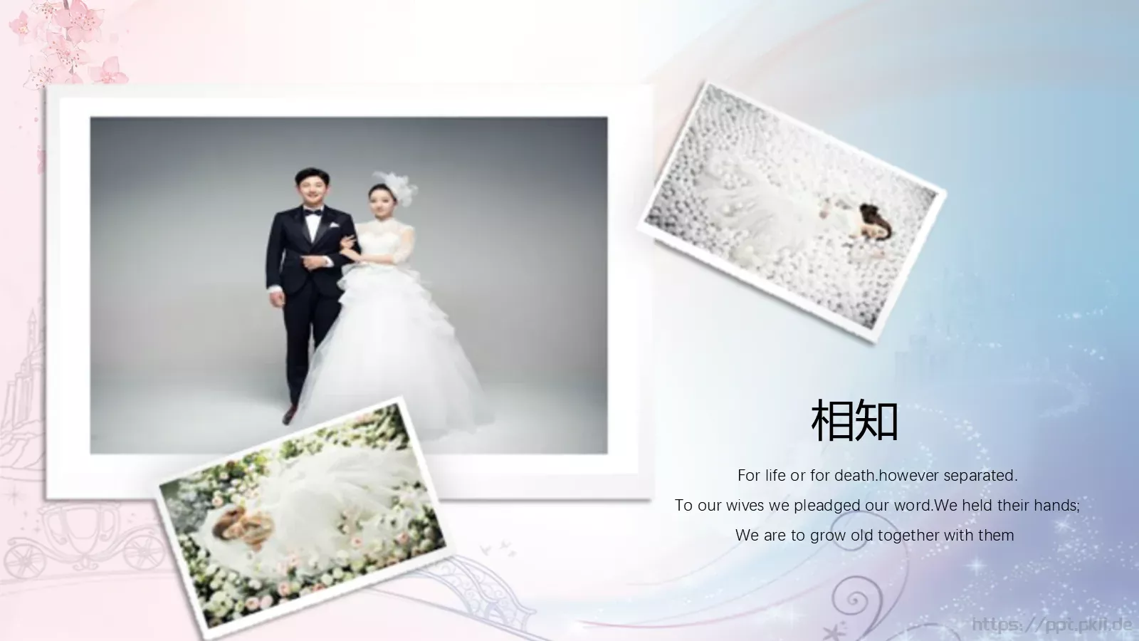 婚庆爱情PPT模板 第 13 页预览图