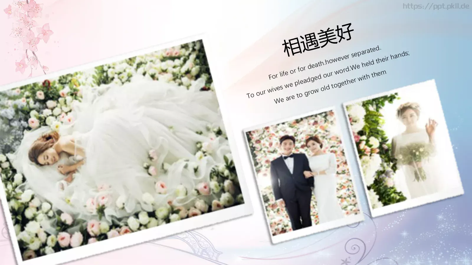 婚庆爱情PPT模板 第 15 页预览图