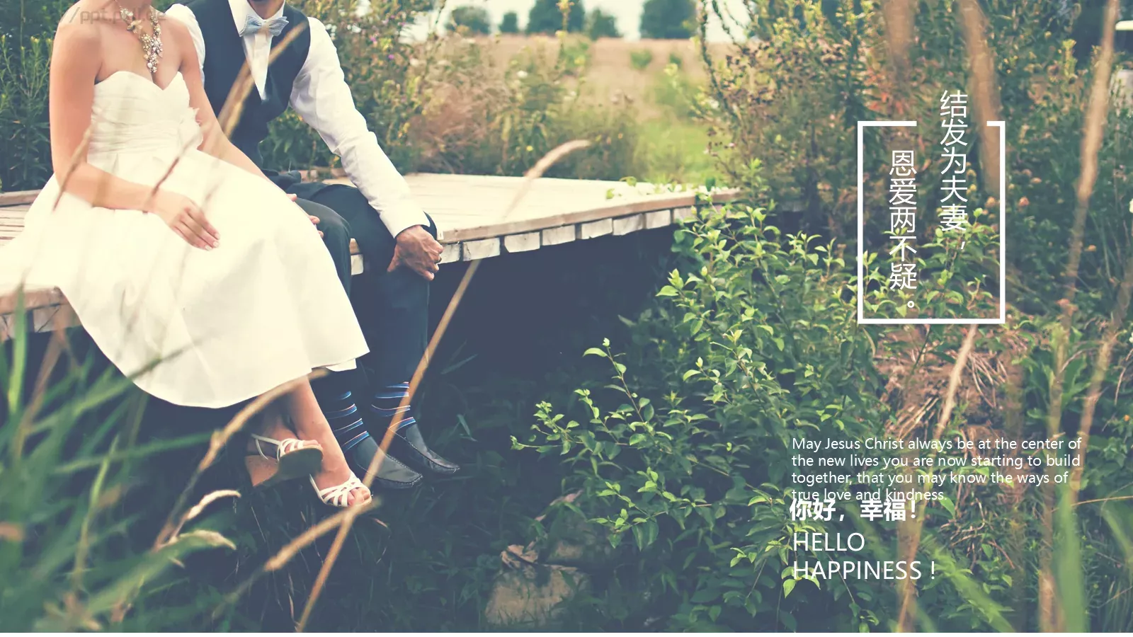 我们结婚啦婚礼相册PPT模板 第 4 页缩略图
