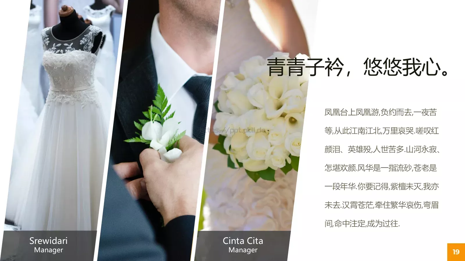 嫁给爱情婚礼主题PPT模板 第 19 页预览图