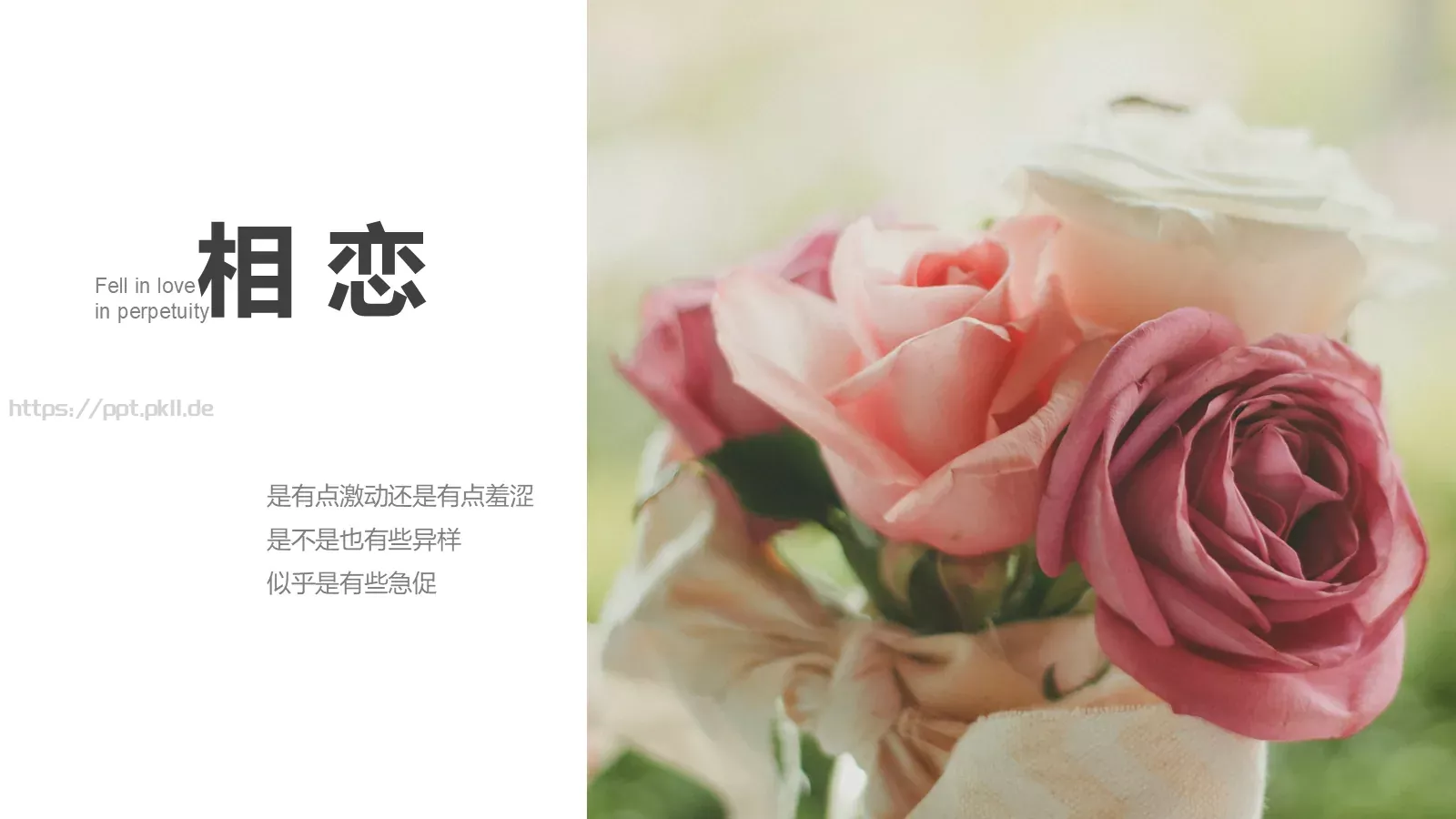 今天我们结婚吧婚礼爱情PPT模板 第 12 页预览图