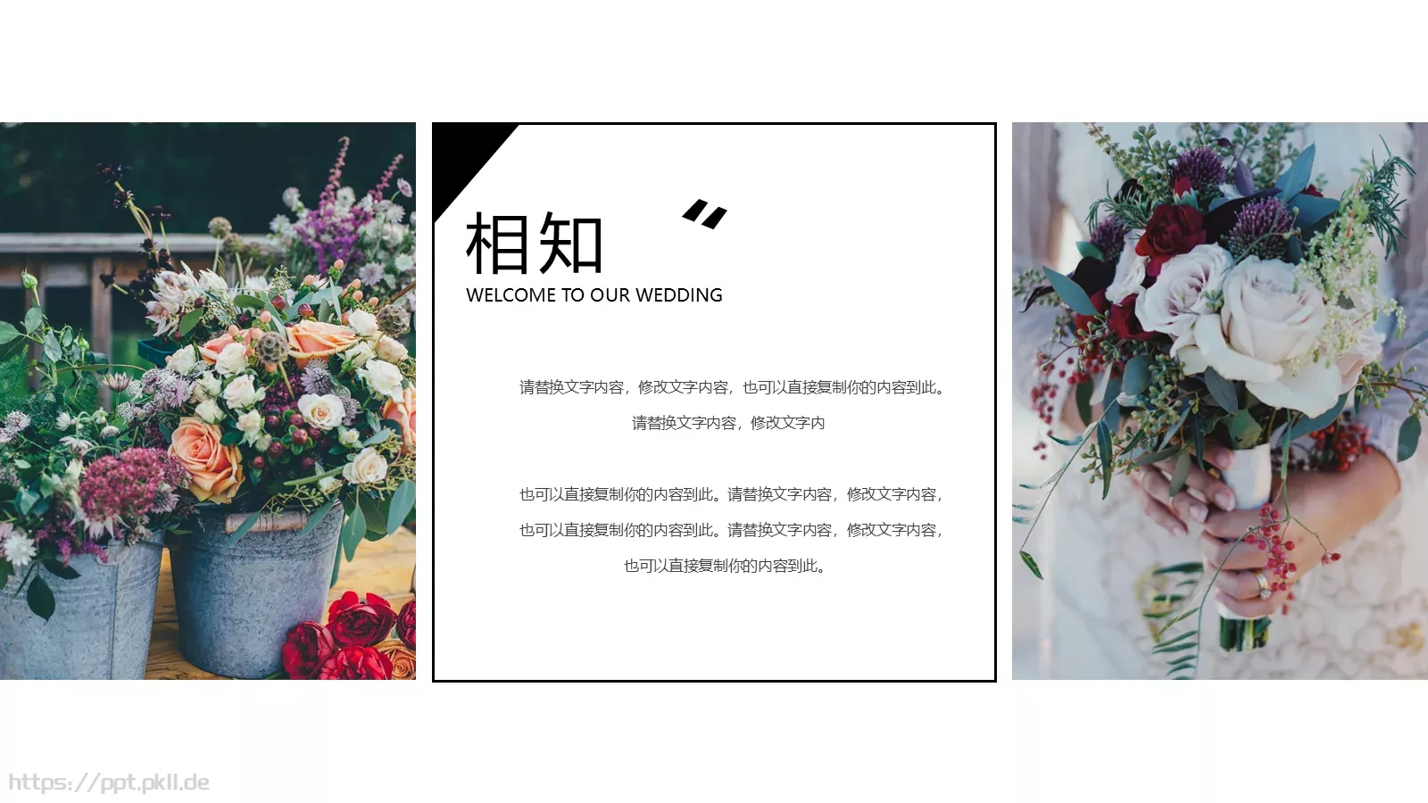 往后余生，请多指教PPT模板 第 11 页预览图