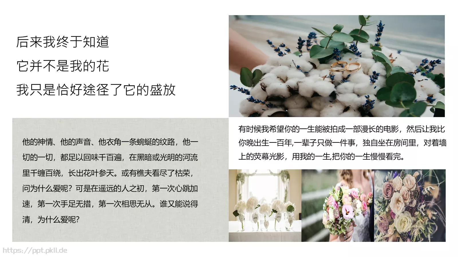 婚礼相册PPT模板 第 17 页预览图