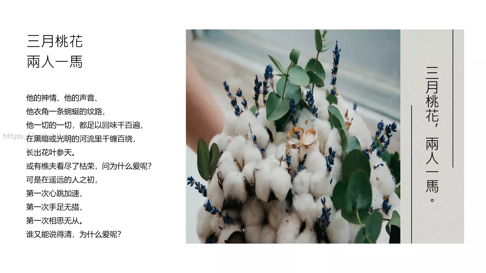 婚礼相册PPT模板 第 20 页预览图