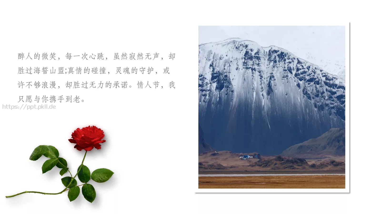 情人节婚庆爱情PPT模板 第 8 页预览图