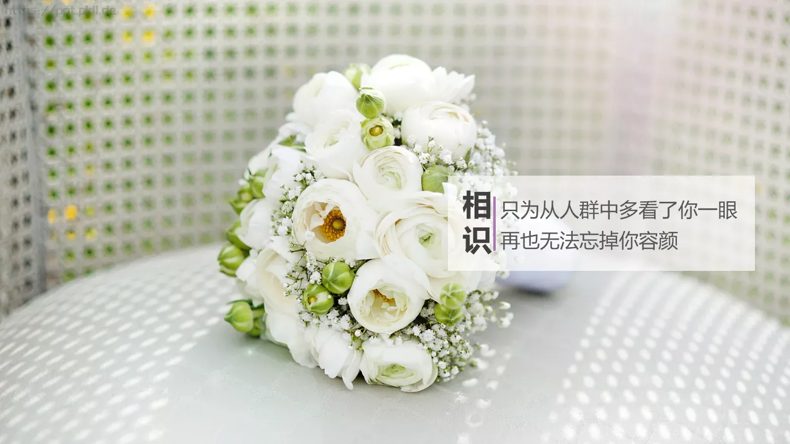 我们结婚啦婚礼祝福PPT模板 第 4 页缩略图