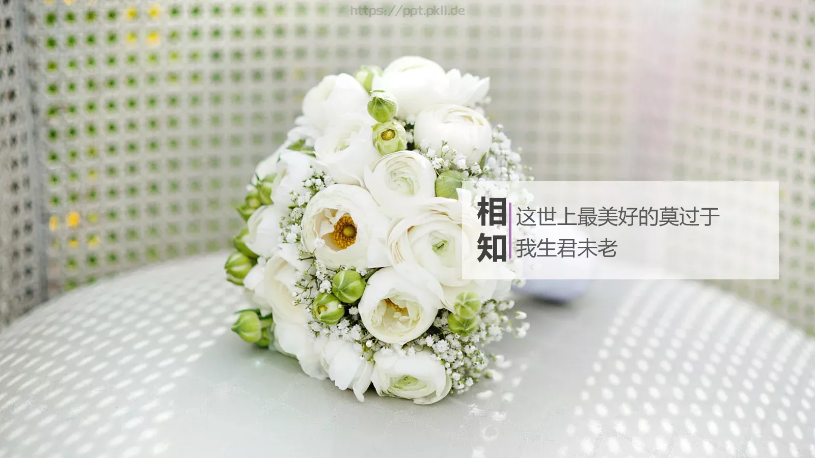 我们结婚啦婚礼祝福PPT模板 第 8 页预览图