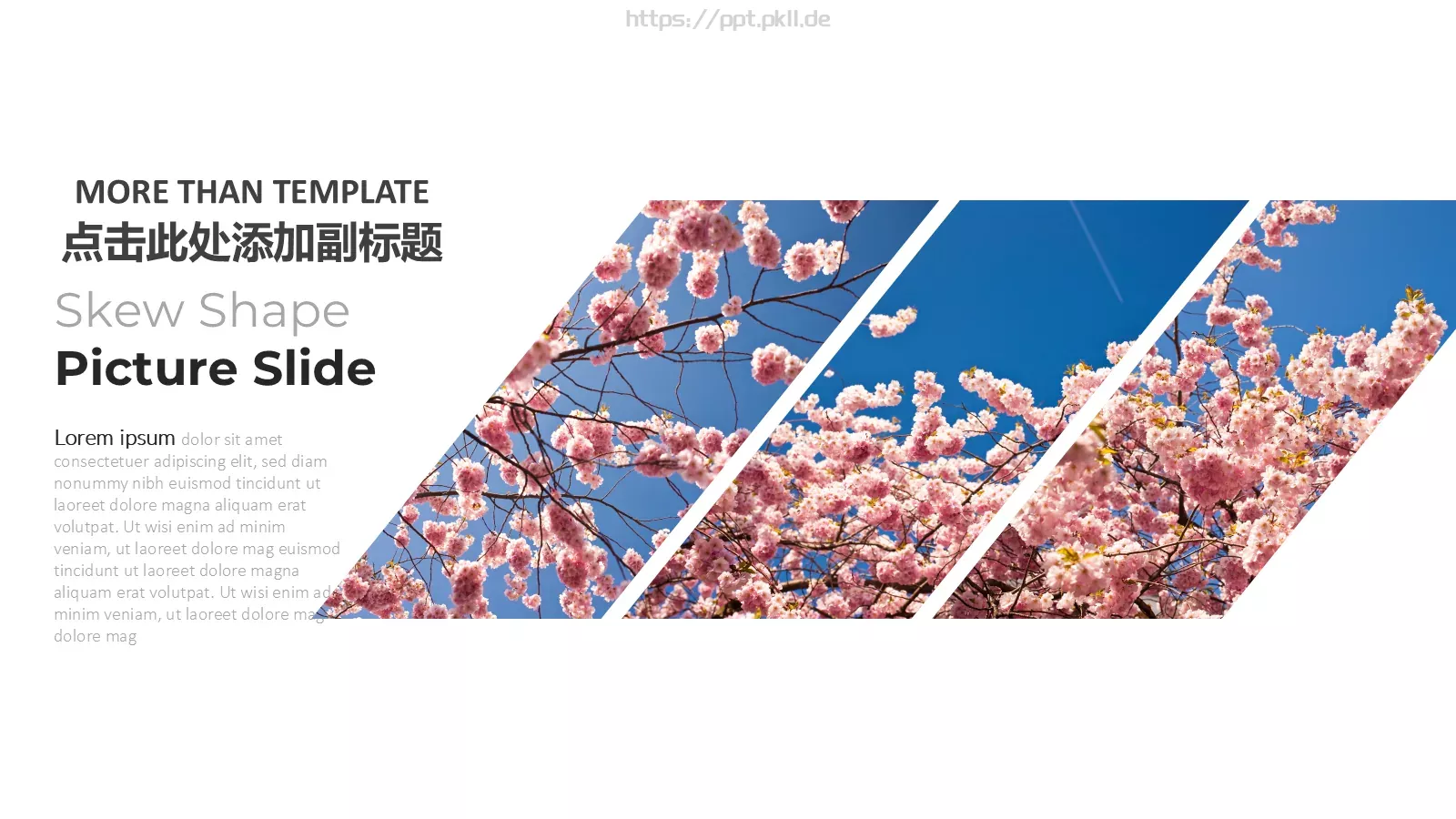 婚礼相册PPT模板 第 5 页预览图