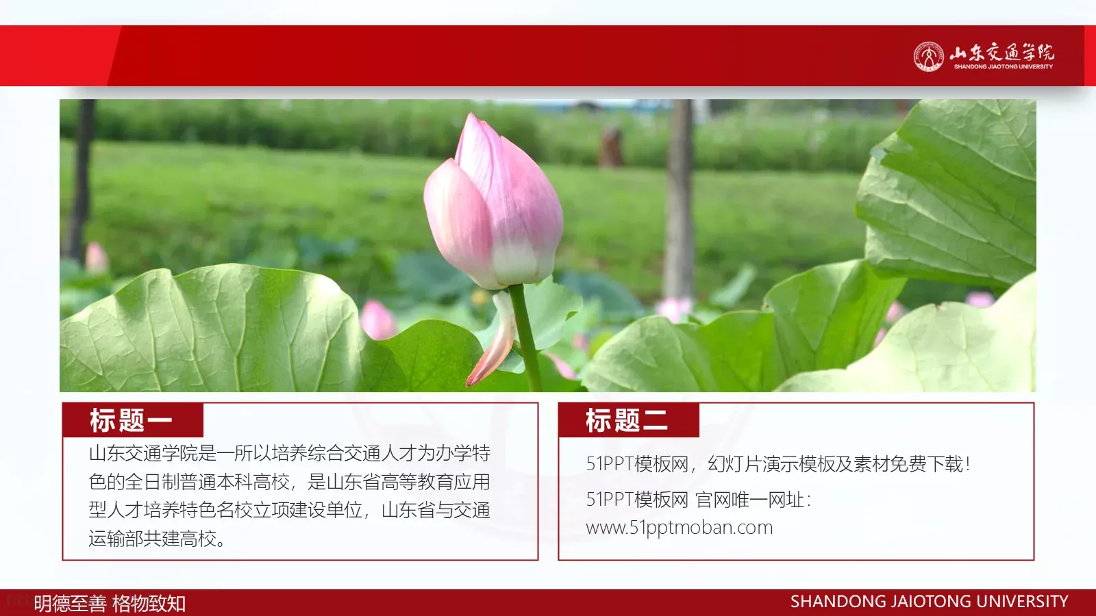 毕业生汇报答辩PPT模板 第 6 页预览图