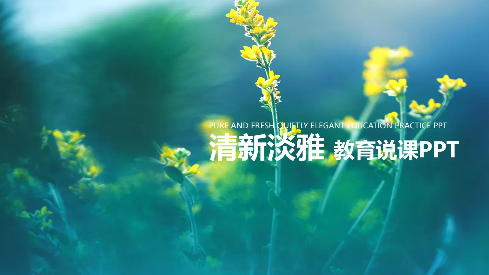 教育说课PPT模板 封面图