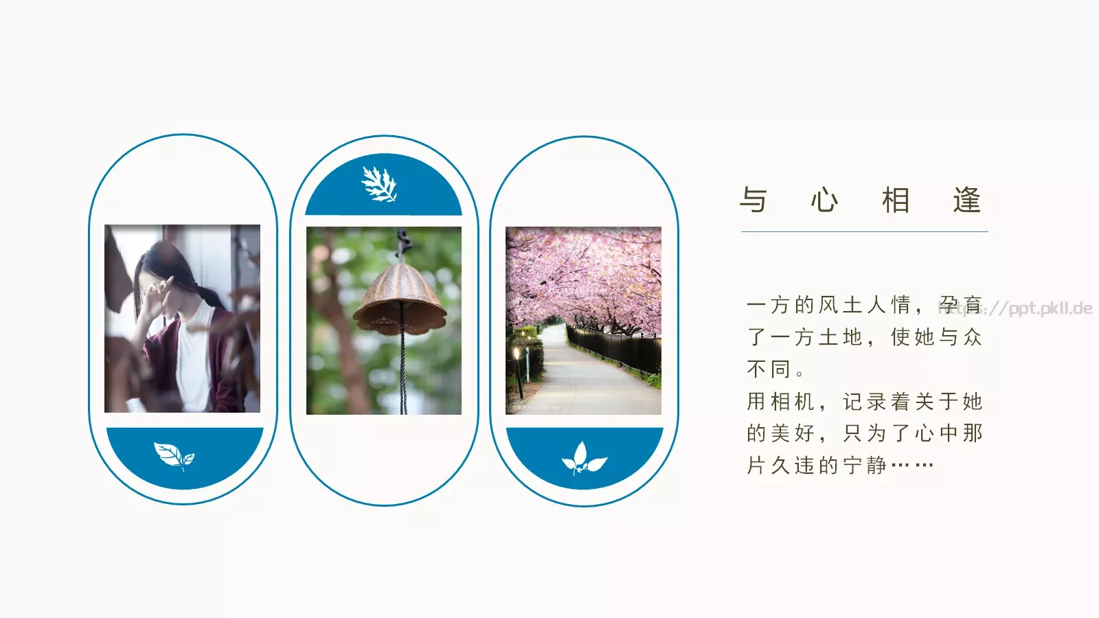 我的旅行日记PPT模板 第 8 页预览图