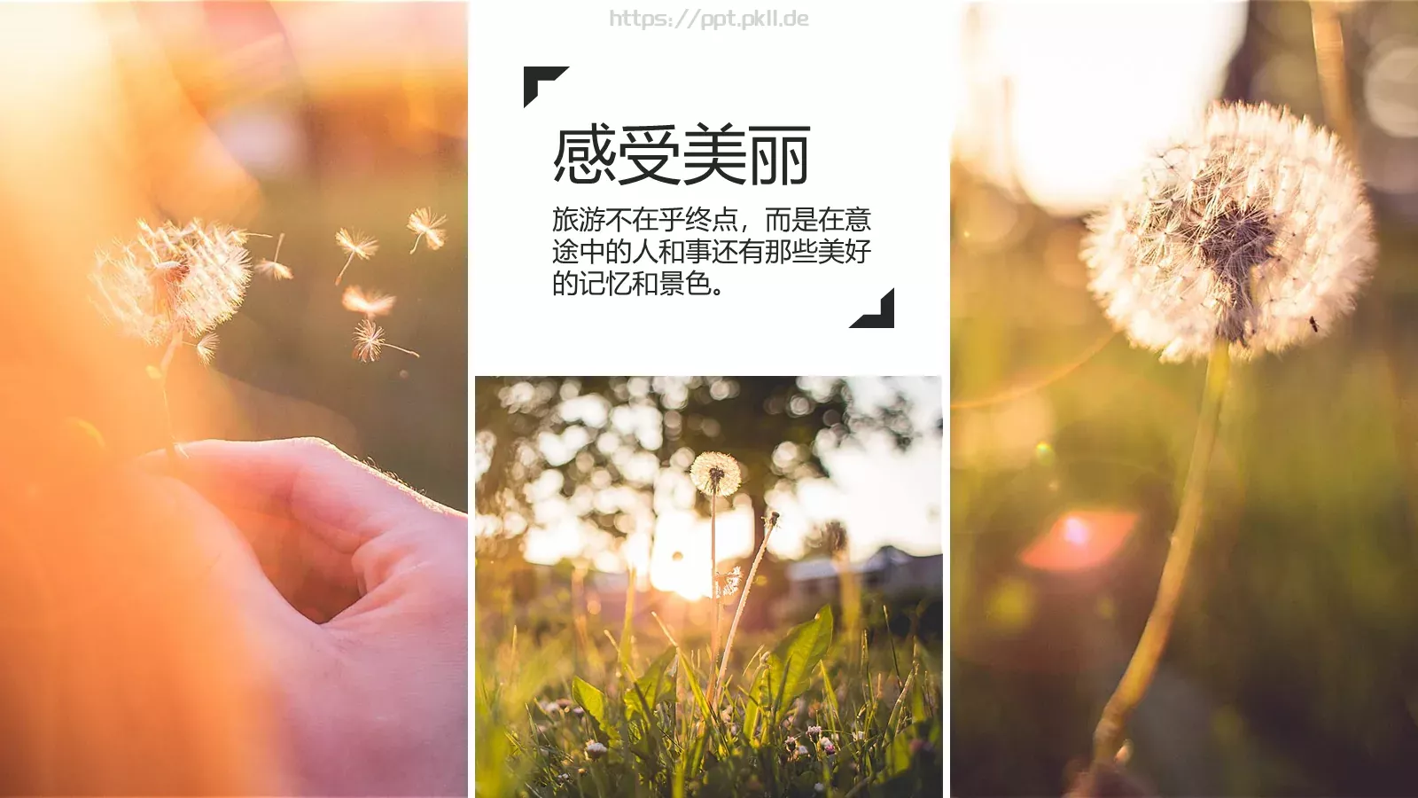 我的旅行日记PPT模板 第 5 页预览图