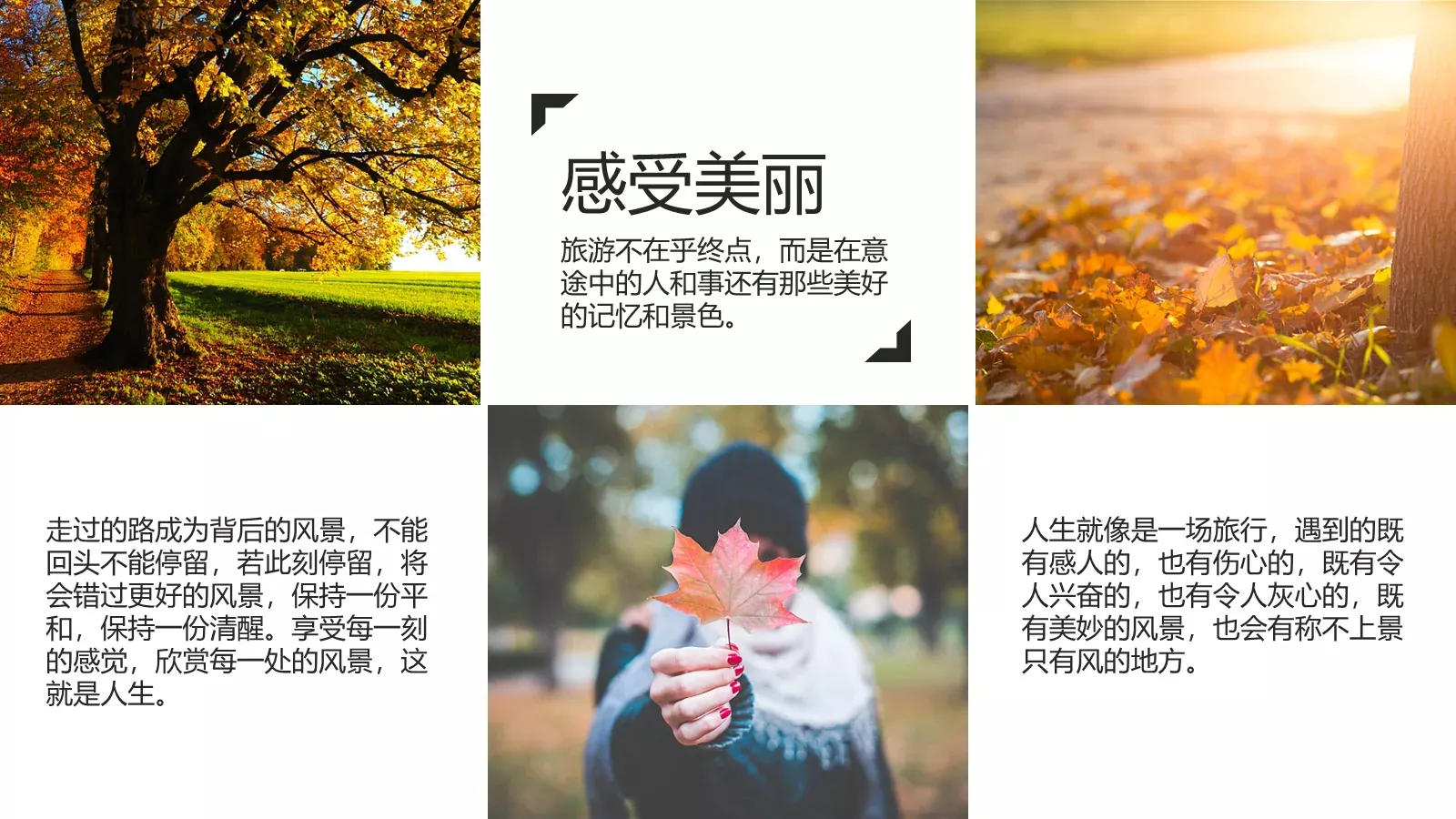 我的旅行日记PPT模板 第 16 页预览图