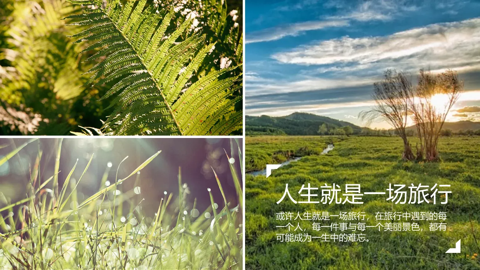 我的旅行日记PPT模板 第 20 页预览图