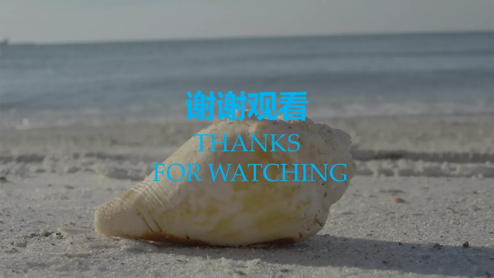 旅行日记PPT模板 第 25 页预览图