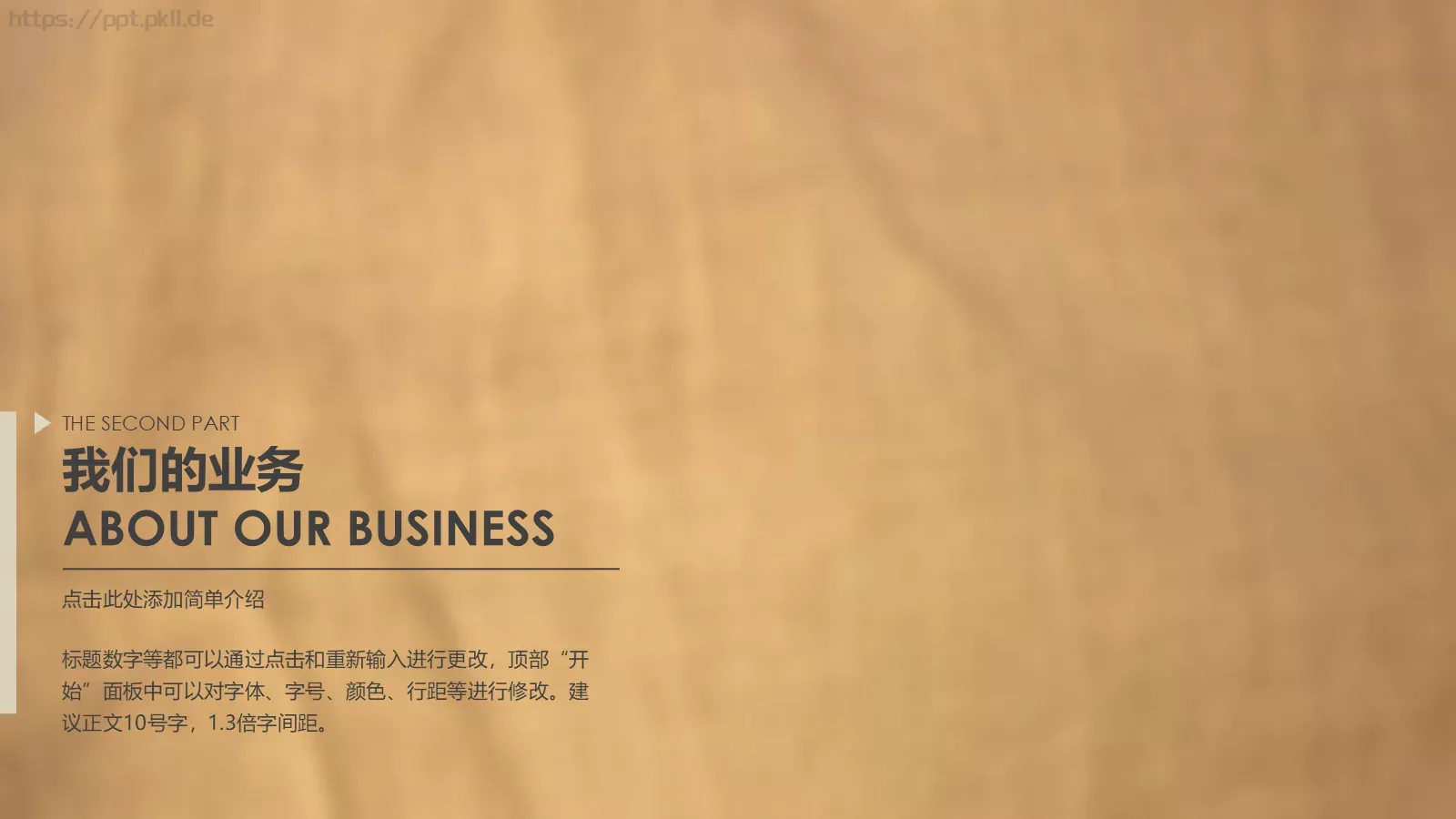公司介绍公司推介简约商务PPT模板 第 6 页预览图
