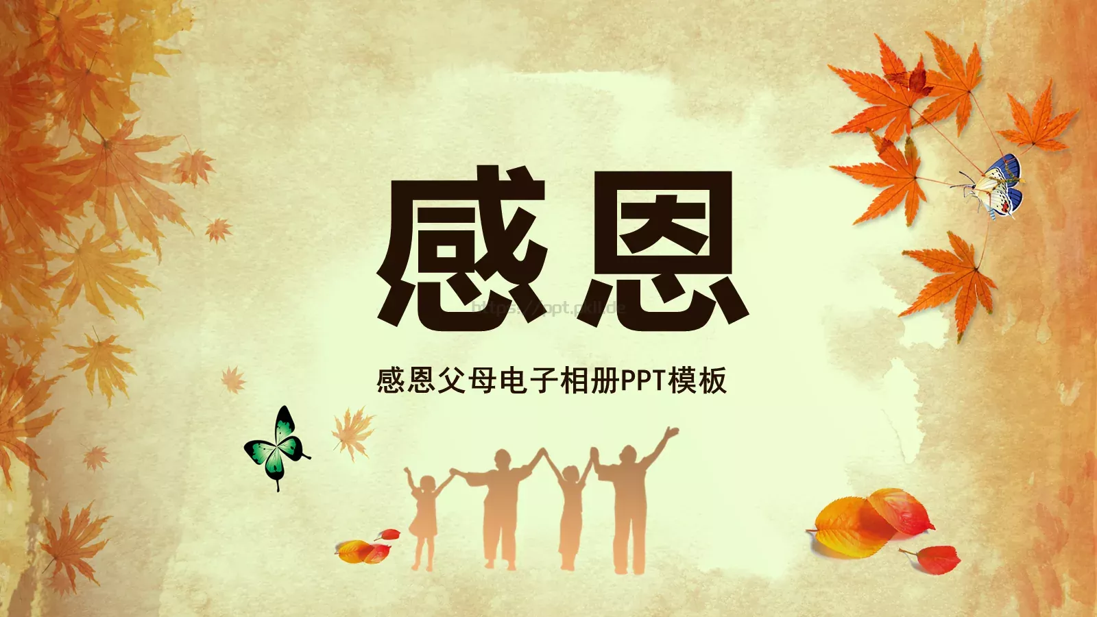 感恩父母电子相册PPT模板 封面图
