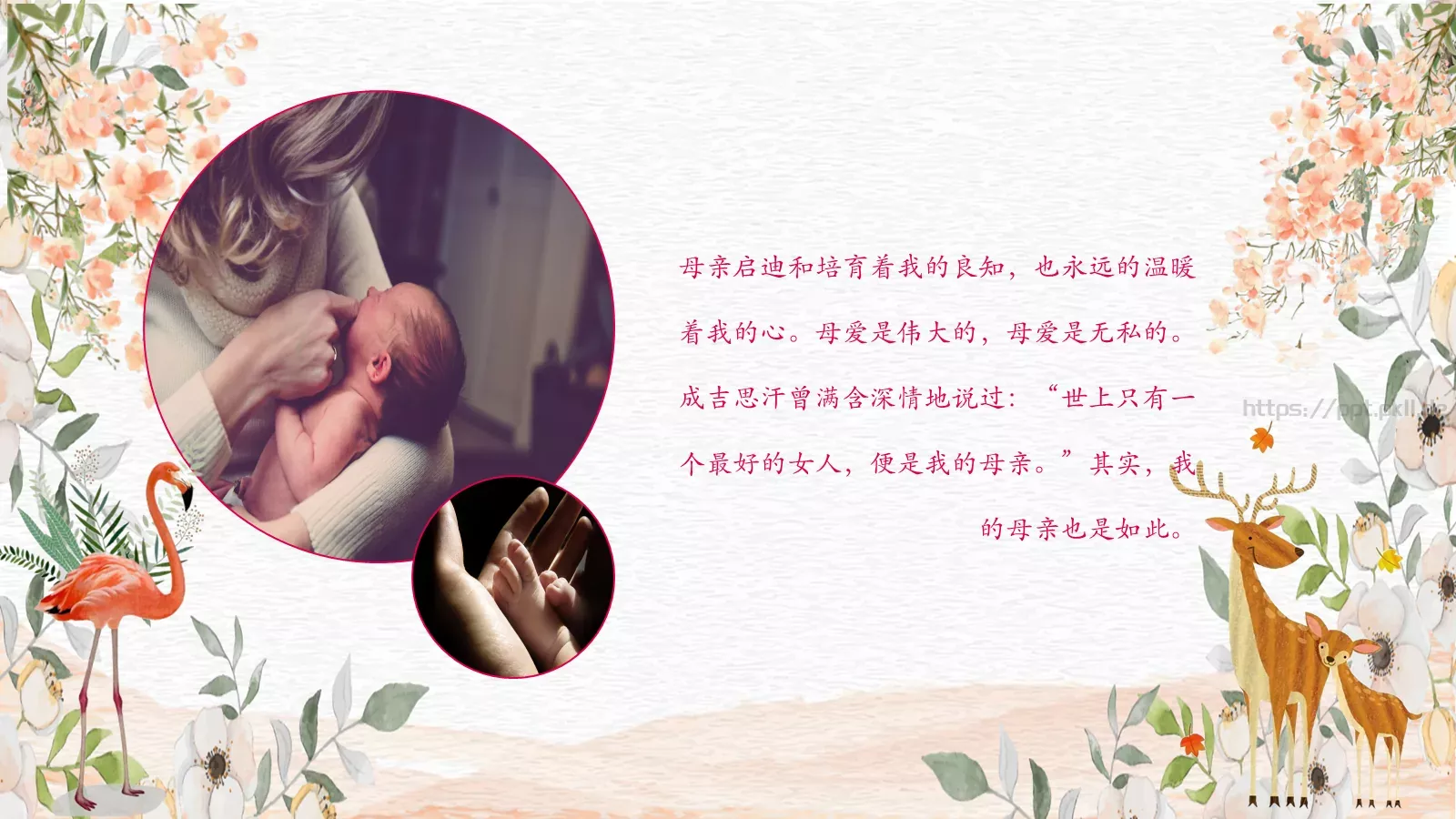 母亲节妈妈，您辛苦了PPT模板 第 13 页预览图