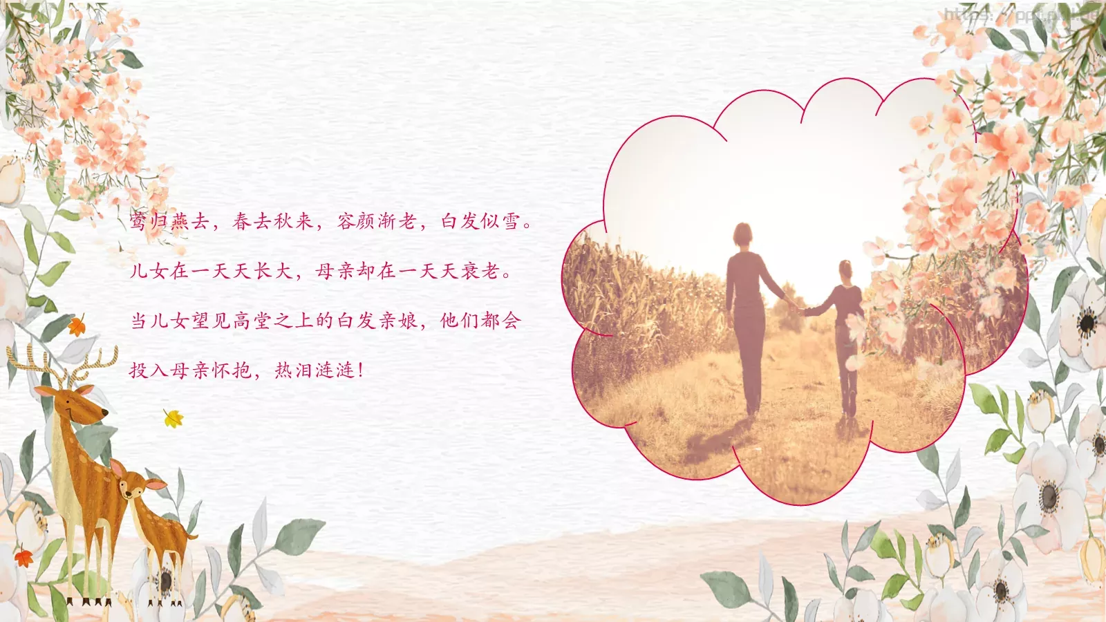 母亲节妈妈，您辛苦了PPT模板 第 14 页预览图