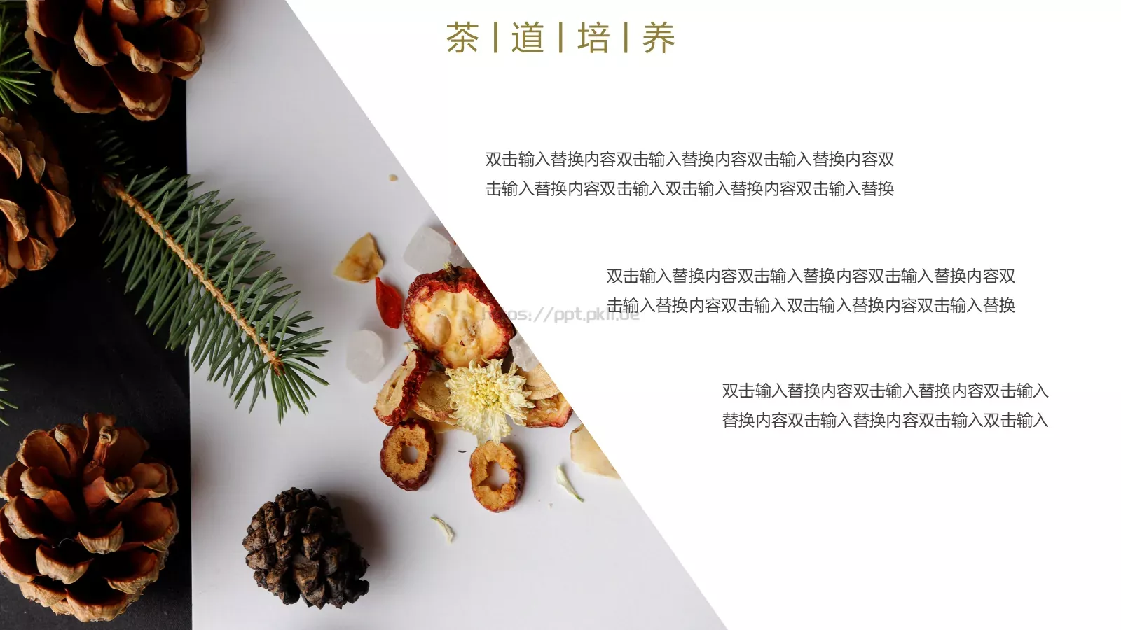 茶道文化画册PPT模板 第 13 页预览图