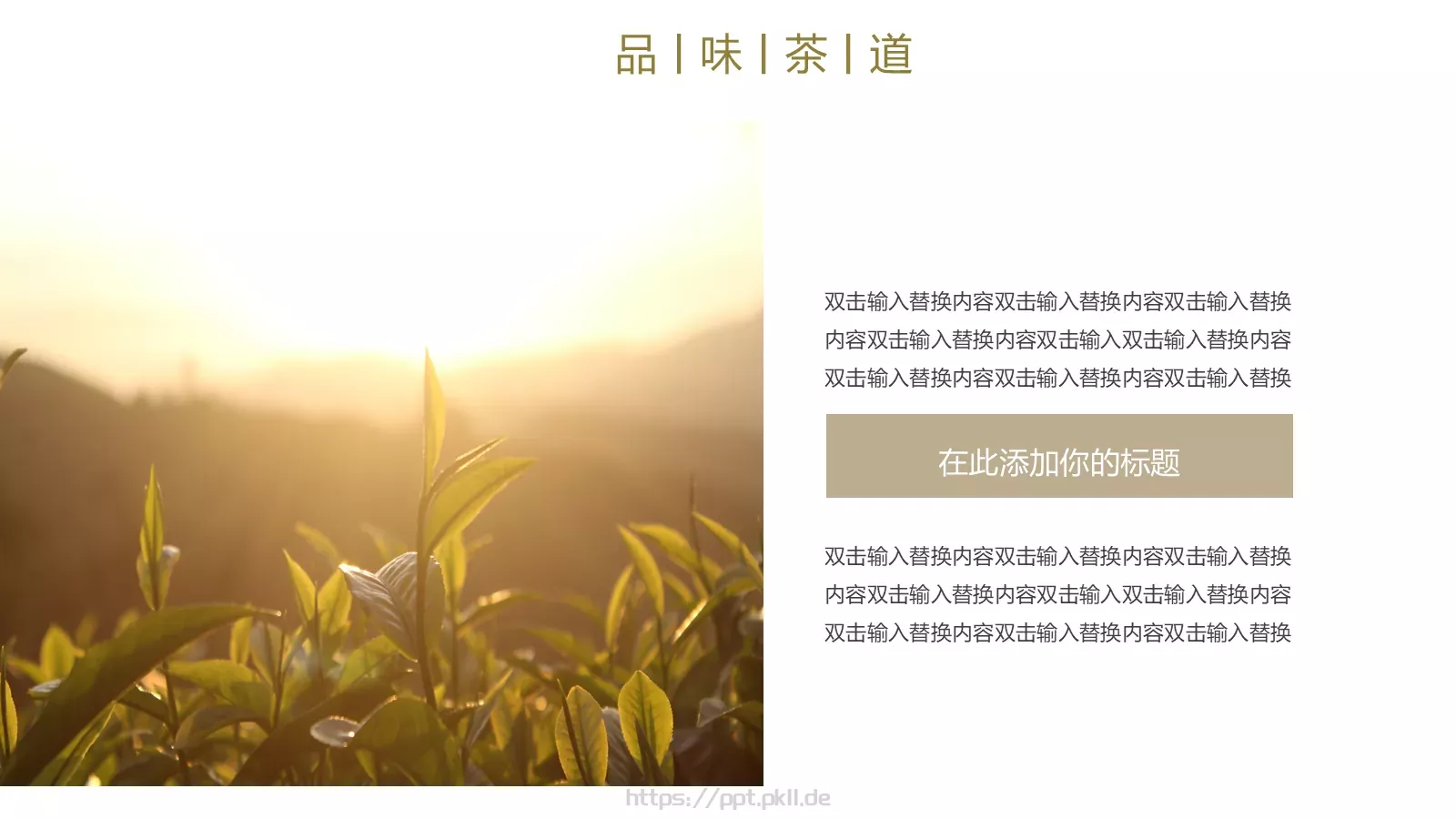 茶道文化画册PPT模板 第 15 页预览图
