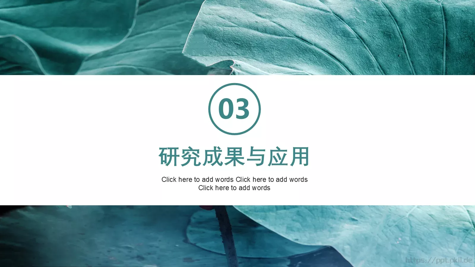 小清新花卉毕业答辩PPT模板 第 13 页预览图