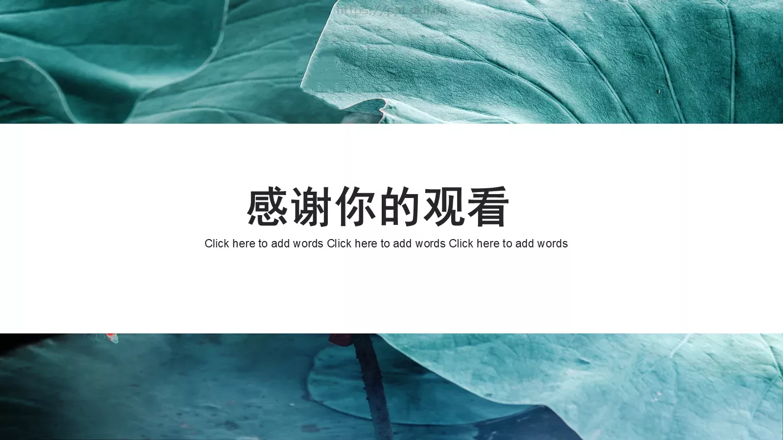 小清新花卉毕业答辩PPT模板 第 24 页预览图