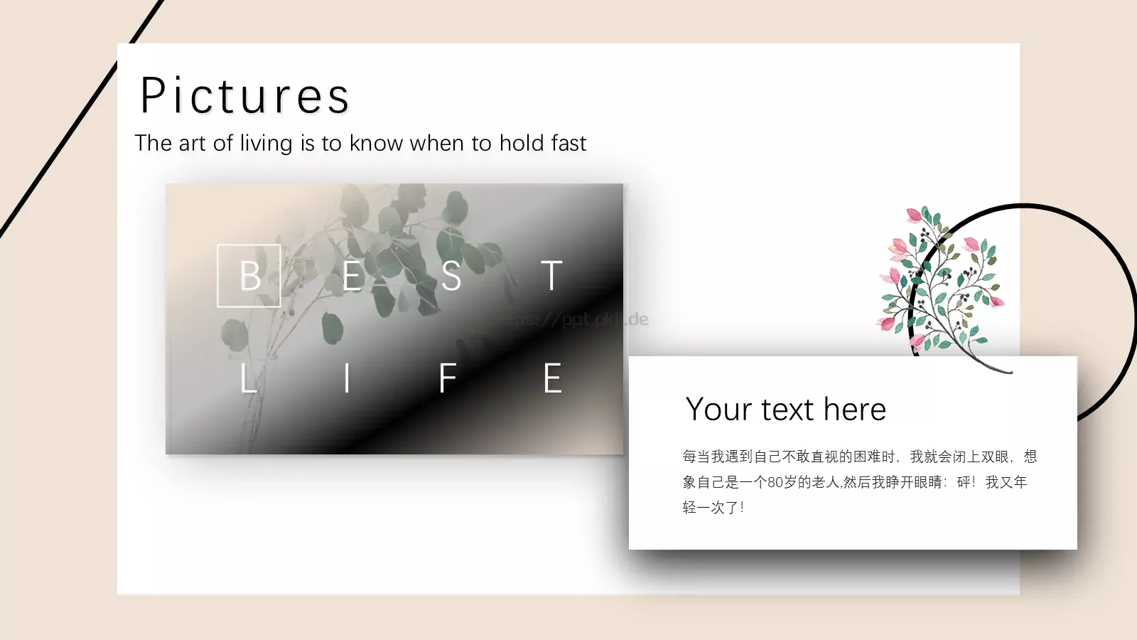 通用模板一根线条通用 第 21 页预览图