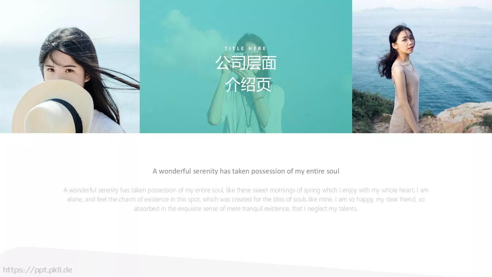 轻薄款商业计划书PPT模板 第 2 页缩略图