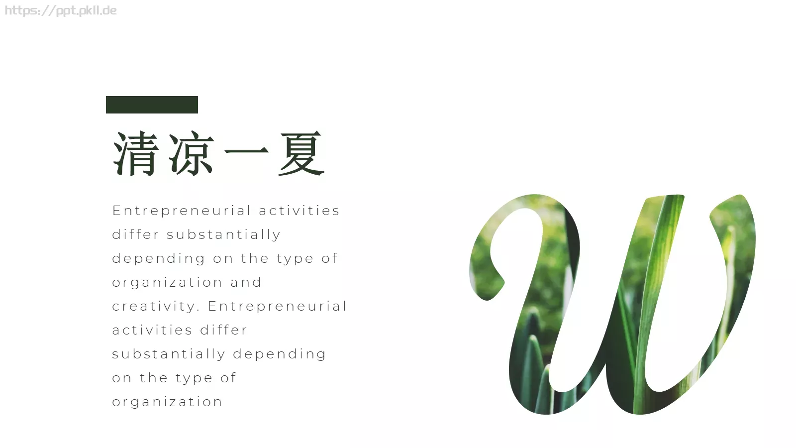 通用模板清凉一夏通用 第 15 页预览图