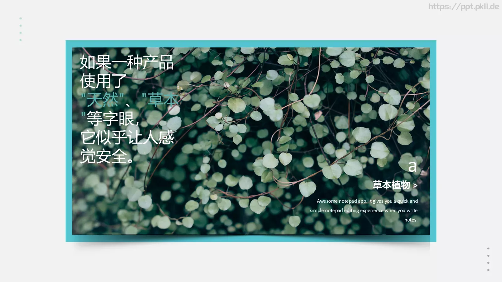 森系植物纪清新通用PPT模板 第 6 页预览图