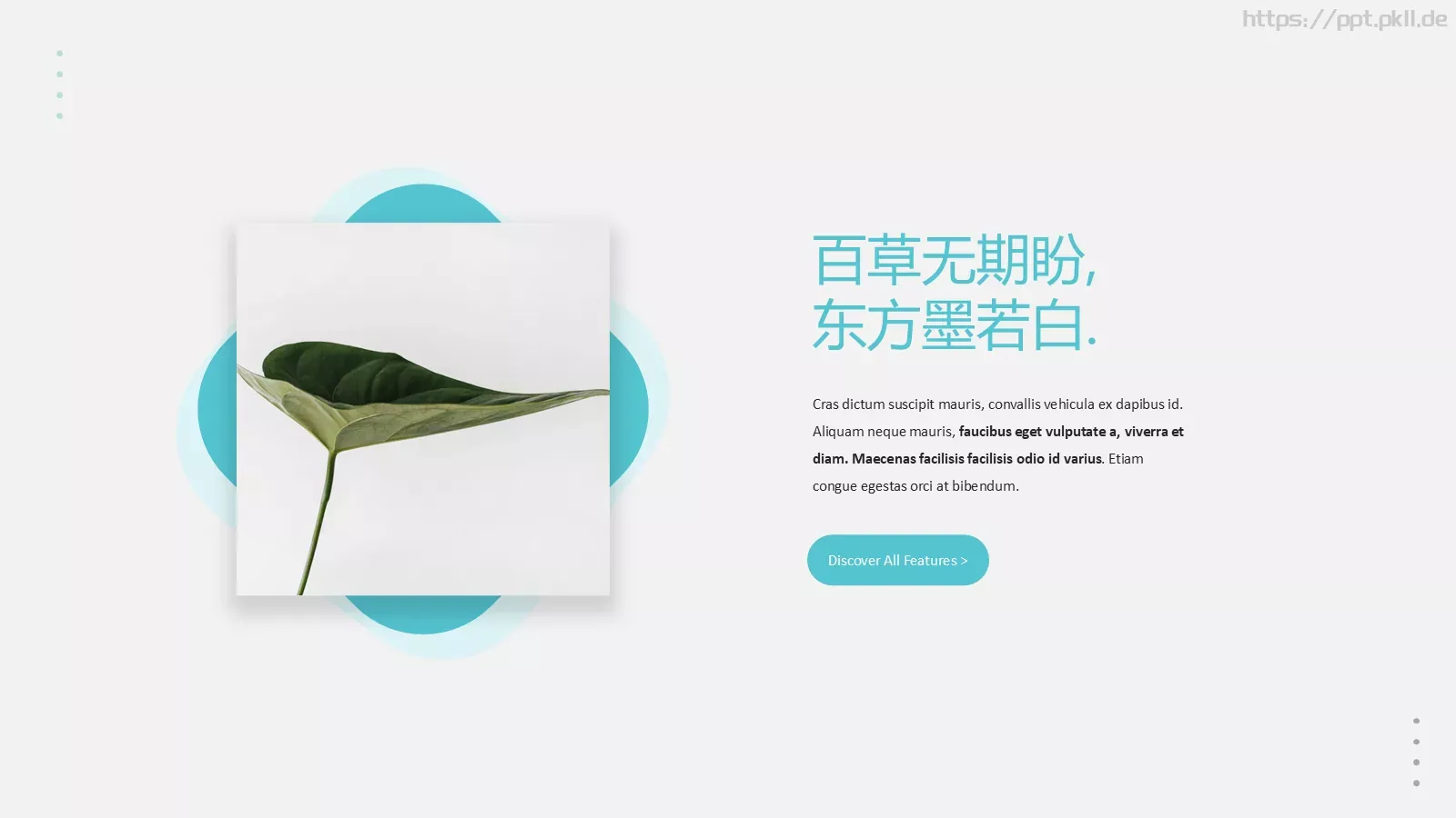 森系植物纪清新通用PPT模板 第 7 页预览图