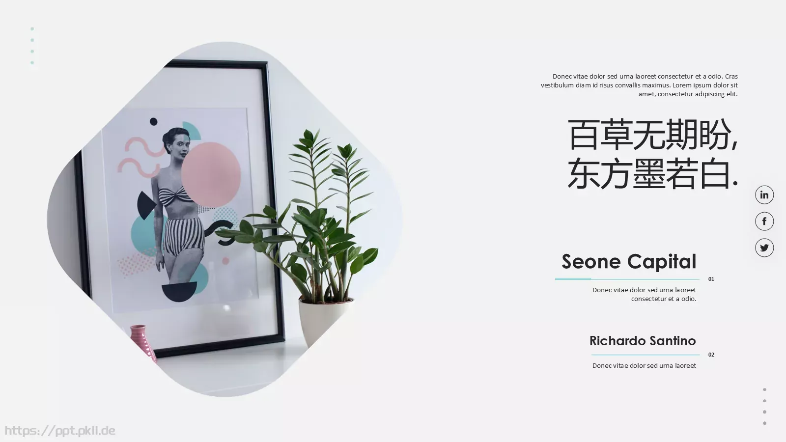 森系植物纪清新通用PPT模板 第 10 页预览图