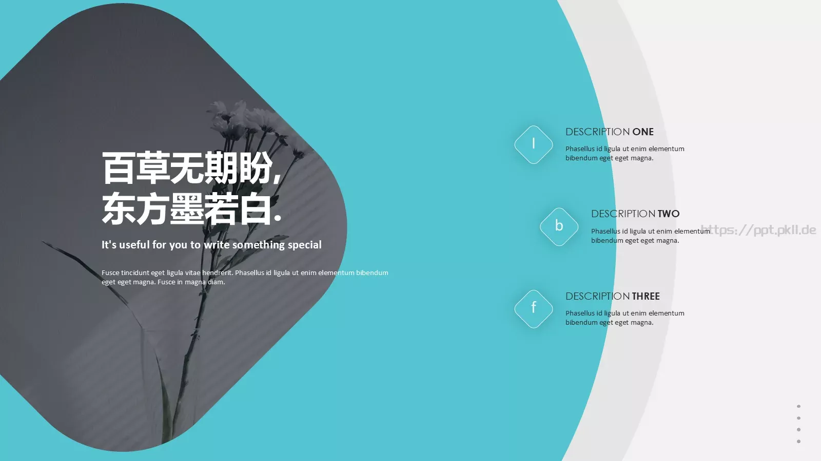 森系植物纪清新通用PPT模板 第 14 页预览图