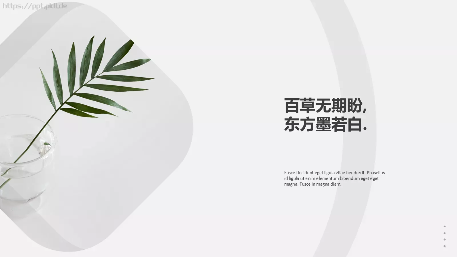 森系植物纪清新通用PPT模板 第 15 页预览图