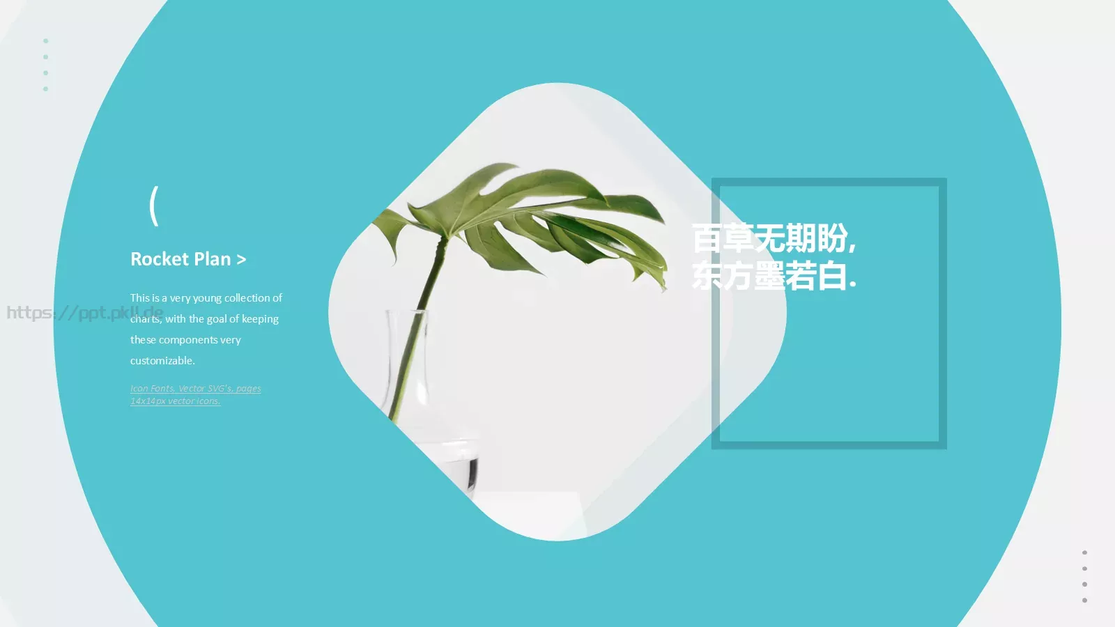 森系植物纪清新通用PPT模板 第 16 页预览图