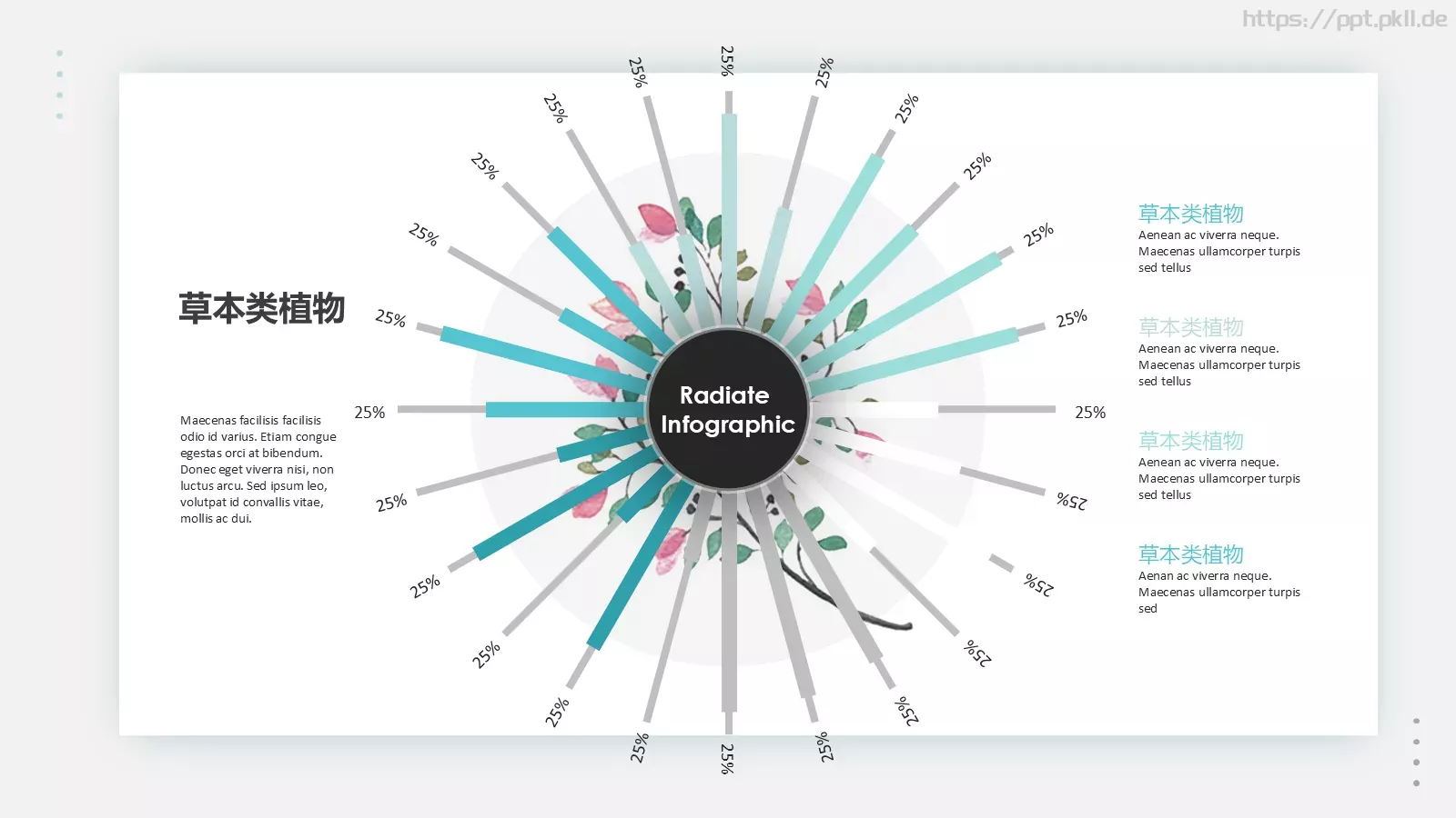 森系植物纪清新通用PPT模板 第 20 页预览图