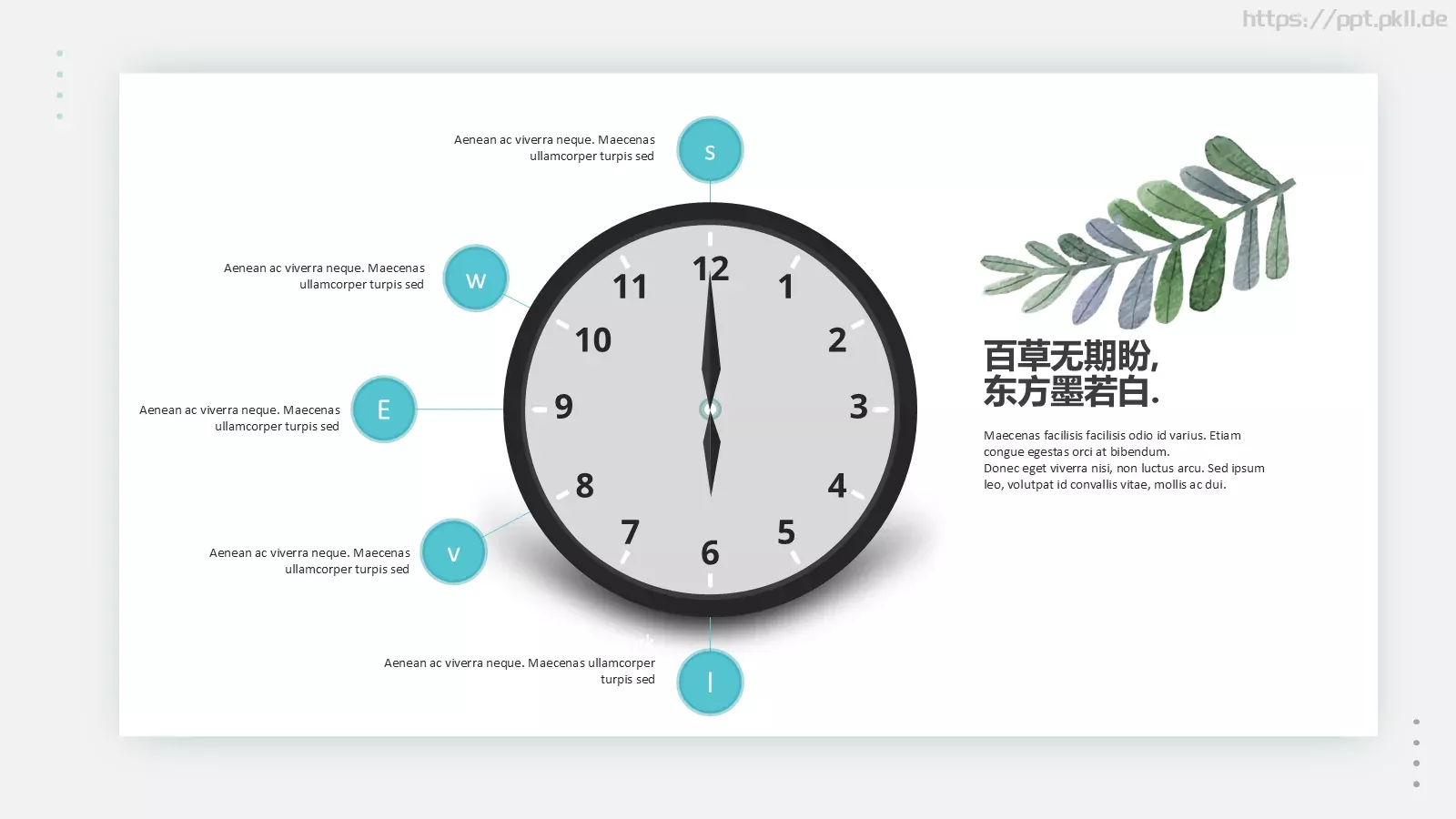 森系植物纪清新通用PPT模板 第 24 页预览图