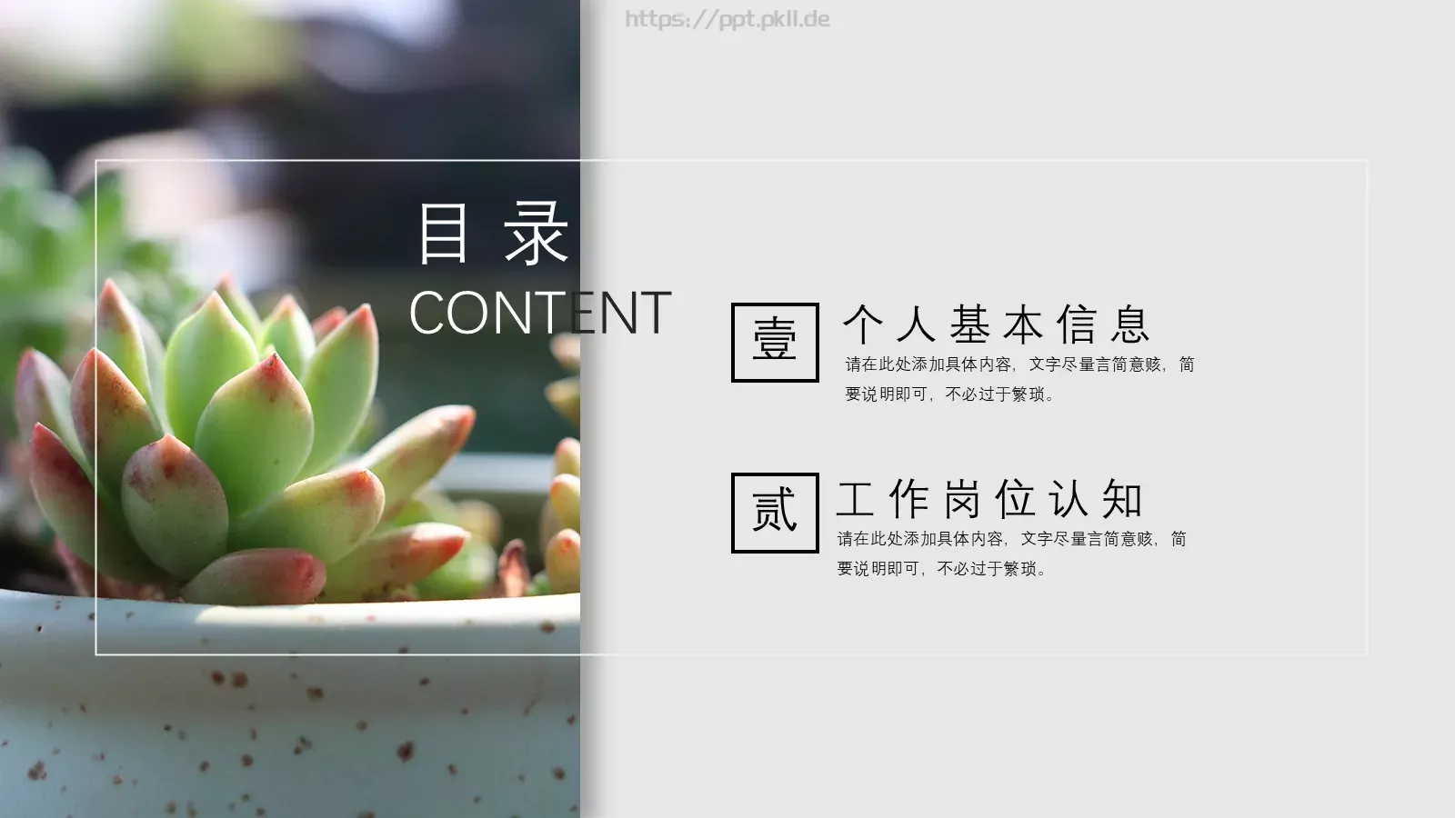 清新多肉植物商务汇报PPT模板 第 2 页缩略图