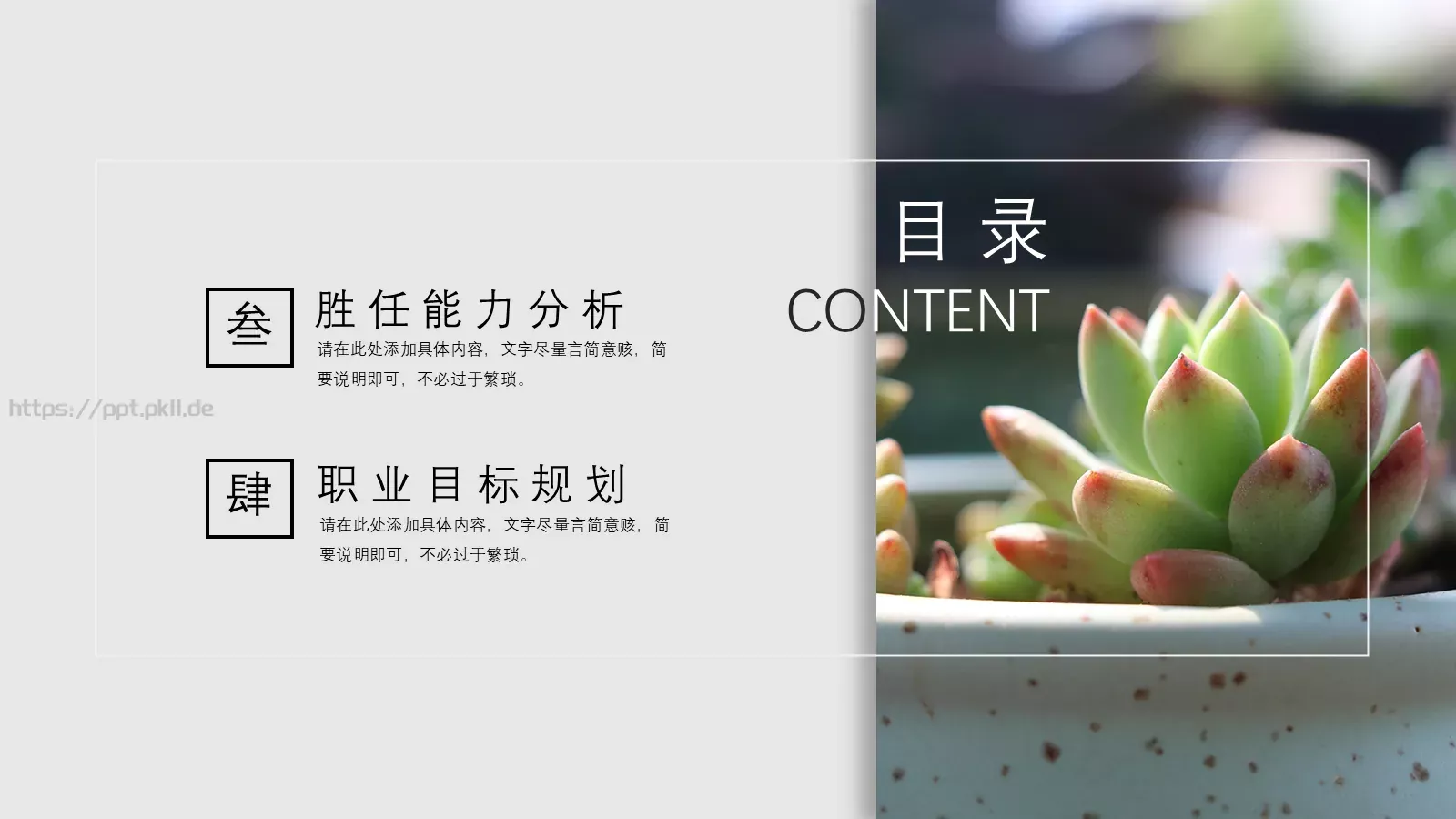 清新多肉植物商务汇报PPT模板 第 3 页缩略图