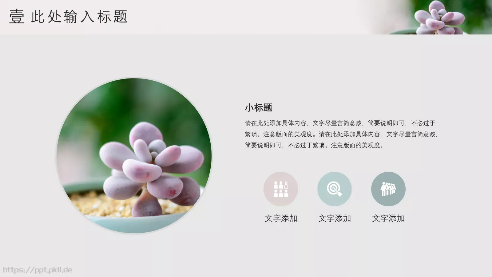 清新多肉植物商务汇报PPT模板 第 6 页预览图